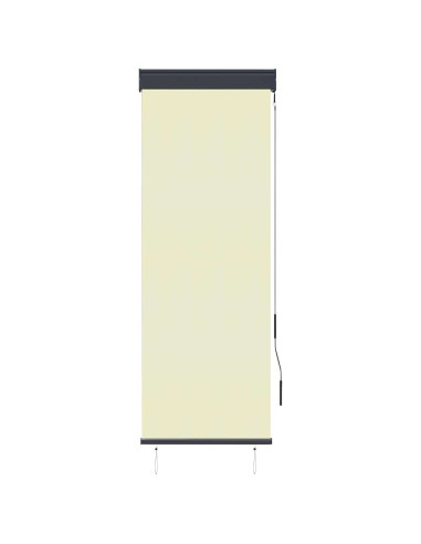 Tenda a Rullo per Esterni 60x250 cm Crema