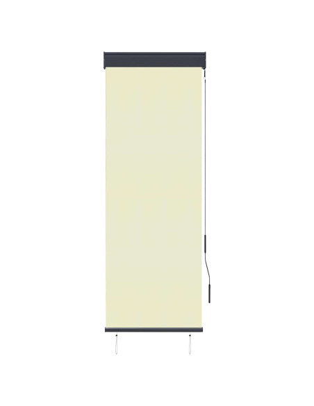 Tenda a Rullo per Esterni 60x250 cm Crema