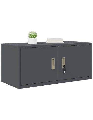 Armadio Antracite 90 x 40 x 40 cm Acciaio