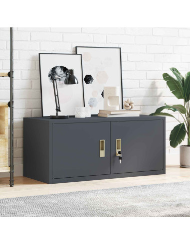 Armadio Antracite 90 x 40 x 40 cm Acciaio