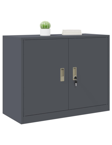 Armadio Antracite 90 x 40 x 70 cm Acciaio