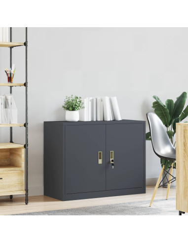 Armadio Antracite 90 x 40 x 70 cm Acciaio