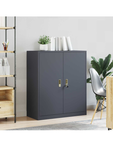 Armadio Antracite 90 x 40 x 105 cm Acciaio