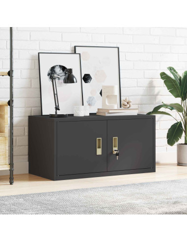 Armadio Nero 80 x 40 x 40 cm Acciaio