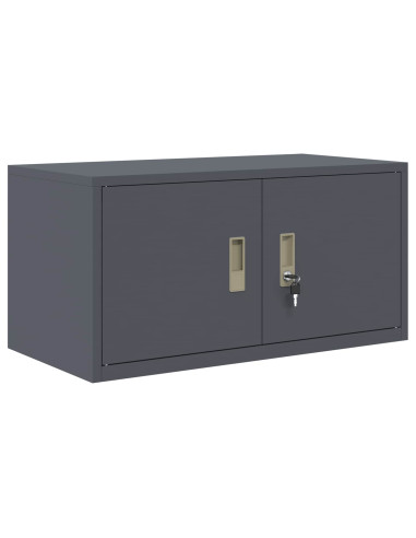 Armadio Antracite 80 x 40 x 40 cm Acciaio
