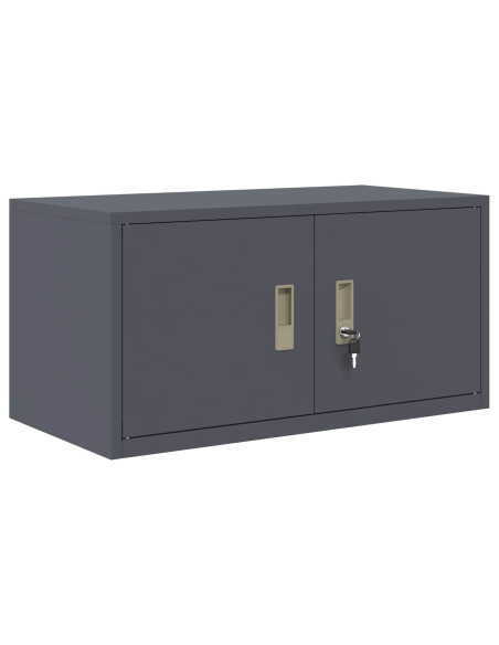 Armadio Antracite 80 x 40 x 40 cm Acciaio