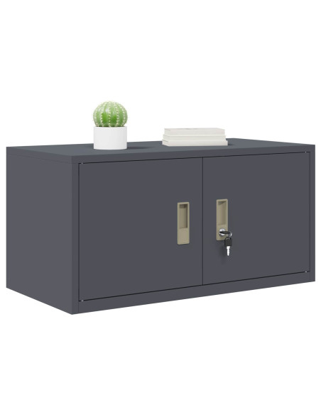 Armadio Antracite 80 x 40 x 40 cm Acciaio