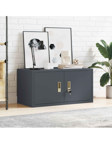 Armadio Antracite 80 x 40 x 40 cm Acciaio