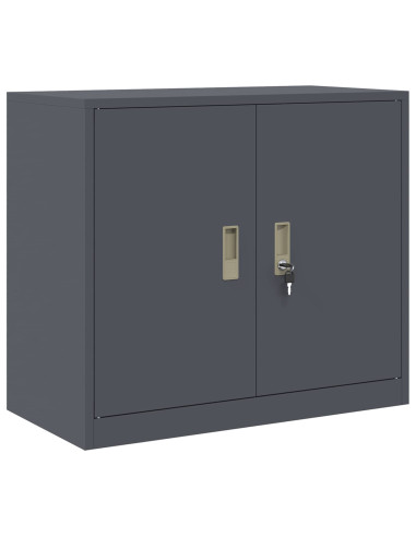 Armadio Antracite 80 x 40 x 70 cm Acciaio