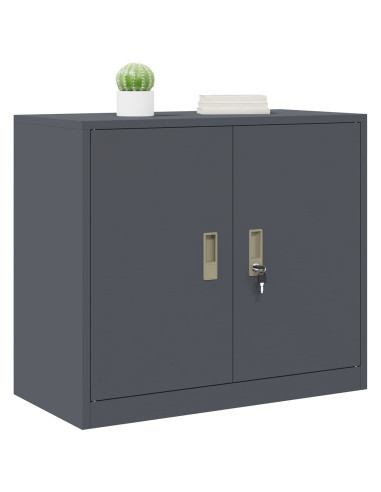 Armadio Antracite 80 x 40 x 70 cm Acciaio