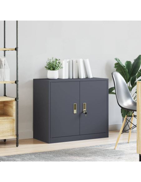 Armadio Antracite 80 x 40 x 70 cm Acciaio