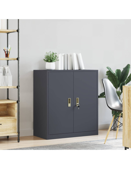 Armadio Antracite 80 x 40 x 90 cm Acciaio