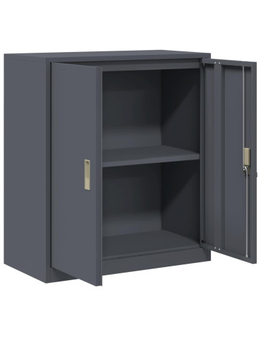 Armadio Antracite 80 x 40 x 90 cm Acciaio