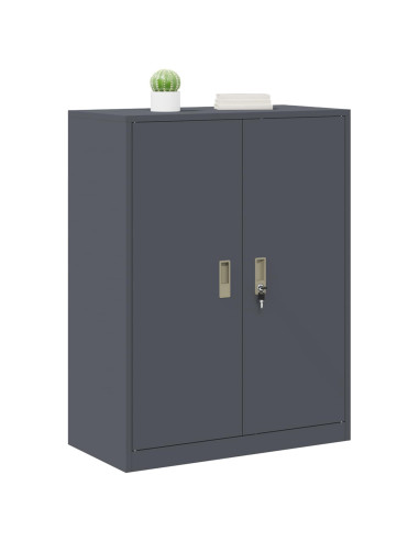Armadio Antracite 80 x 40 x 105 cm Acciaio