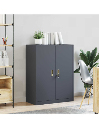 Armadio Antracite 80 x 40 x 105 cm Acciaio