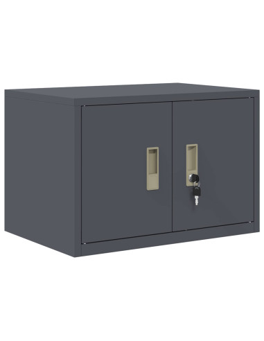 Armadio Antracite 60 x 40 x 40 cm Acciaio