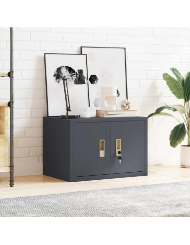 Armadio Antracite 60 x 40 x 40 cm Acciaio