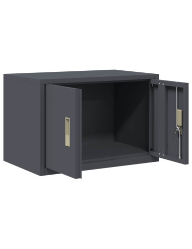 Armadio Antracite 60 x 40 x 40 cm Acciaio