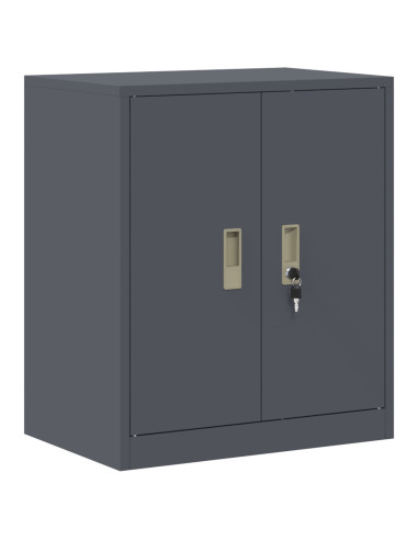 Armadio Antracite 60 x 40 x 70 cm Acciaio