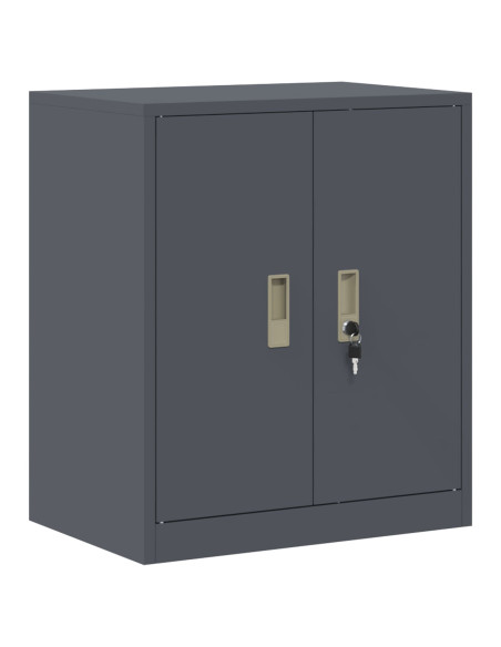 Armadio Antracite 60 x 40 x 70 cm Acciaio