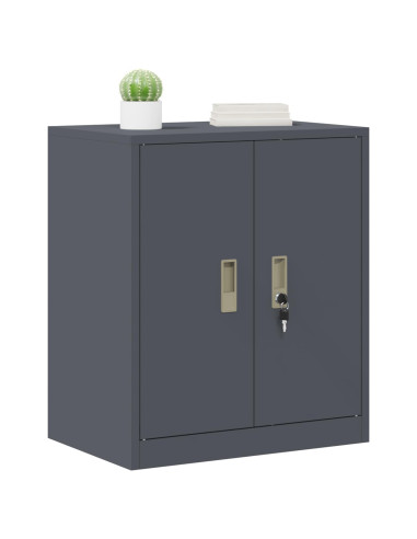 Armadio Antracite 60 x 40 x 70 cm Acciaio