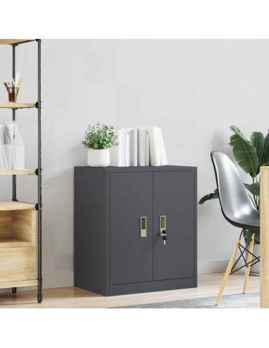 Armadio Antracite 60 x 40 x 70 cm Acciaio