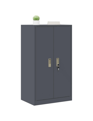 Armadio Antracite 60 x 40 x 105 cm Acciaio