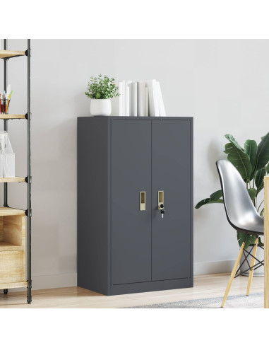 Armadio Antracite 60 x 40 x 105 cm Acciaio