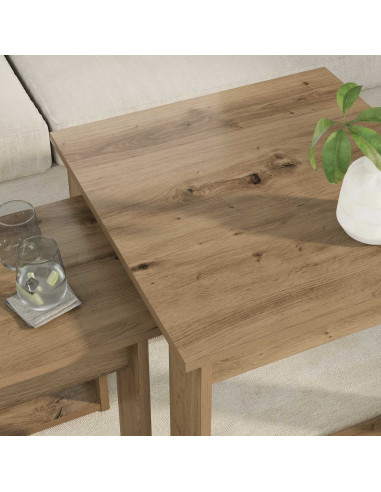 Set di Tavolini da Caffè 2 pcs Rovere artigianale
