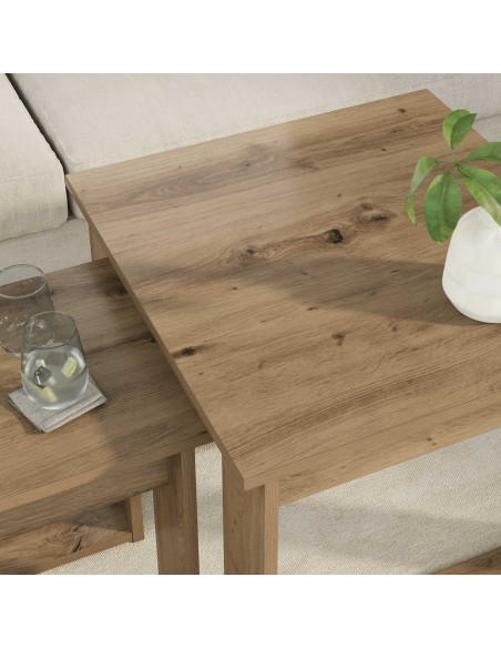 Set di Tavolini da Caffè 2 pcs Rovere artigianale