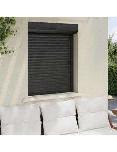 Persiana a rullo Antracite 80 x 100 cm Alluminio e poliuretano