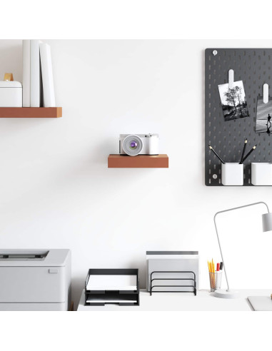 Scaffale da parete Rosso 23 x 23,5 x 4 cm Legno multistrato