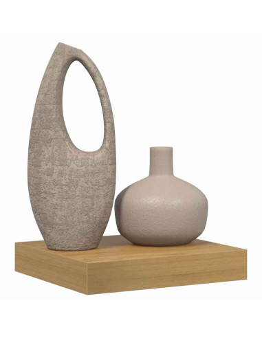 Scaffale da parete Marrone 23 x 23,5 x 4 cm Legno multistrato