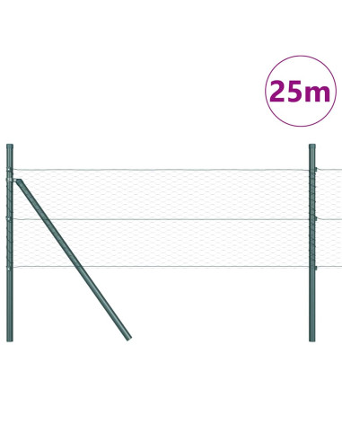 Palo della recinzione Verde 25 x 0,5 m (rete da 25 mm) Acciaio