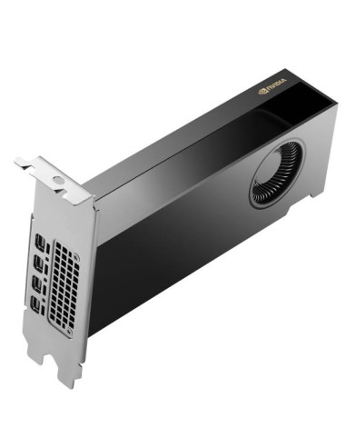 HP NVIDIA RTX PH x2xxx 4mDP Graphics
