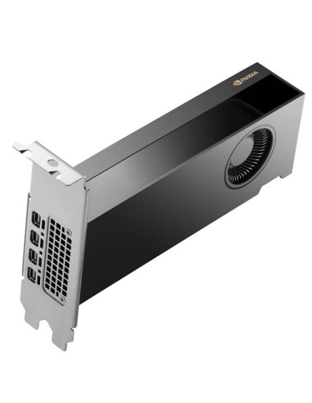 HP NVIDIA RTX PH x2xxx 4mDP Graphics