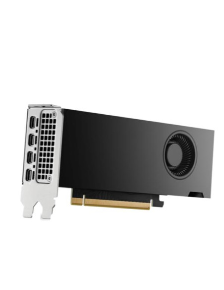 HP NVIDIA RTX PH x2xxx 4mDP Graphics