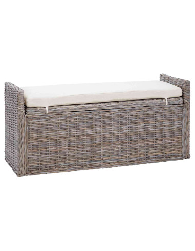 Panchina con contenitore Grigio 110 x 40 x 50 cm Rattan