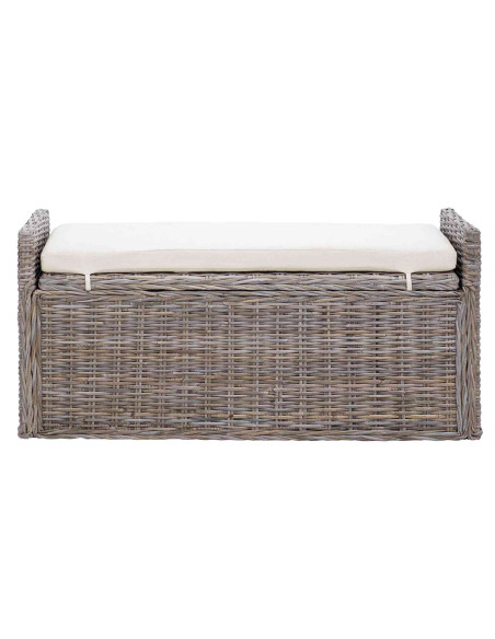 Panchina con contenitore Grigio 110 x 40 x 50 cm Rattan