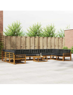 Set di divani da esterno 11 pcs Naturale e Antracite