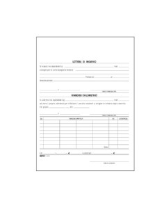 CF100 BUSTE NOTA SPESE