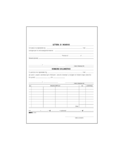 CF100 BUSTE NOTA SPESE