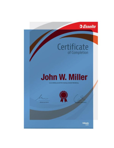 CF25 BUSTE L PVC CRISTAL LUCIDE BLU