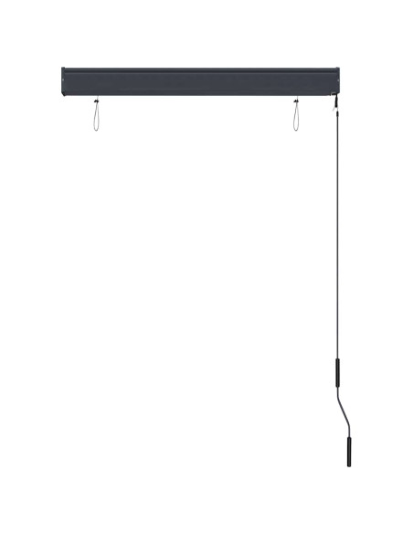 Tenda a Rullo per Esterni 100x250 cm Blu e Bianca