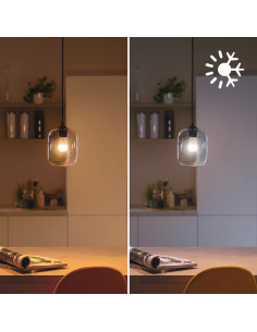 Philips LED Lampadina Smart Dimmerabile Luce Bianca o Colorata Attacco E14 40WSfera 2