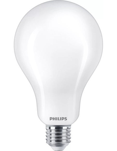 Philips Lampadina smerigliata a filamento 200 W A95 E27