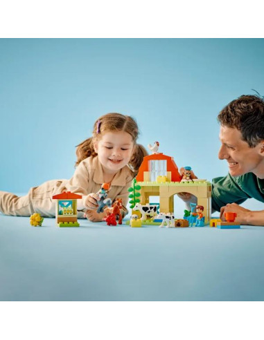 CURA DEGLI ANIMALI DI FATTORIA