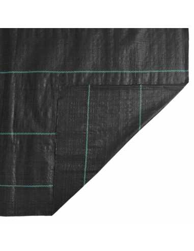 Membrana Antierbacce Nera 4x10 m in PP