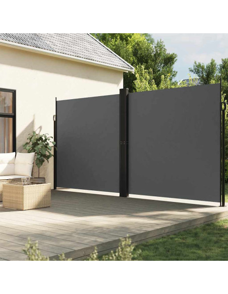 Tenda da Sole Laterale Retrattile Antracite 220x600 cm