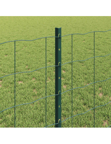 Recinzione con Posto Verde 0,8 x 25 m Acciaio